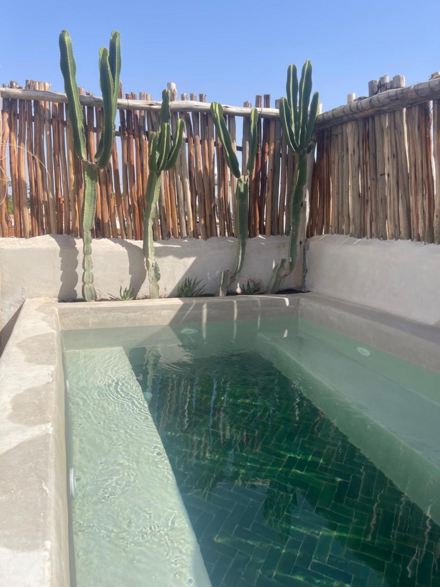 Riad Nekhla Marrakesh Eksteriør billede